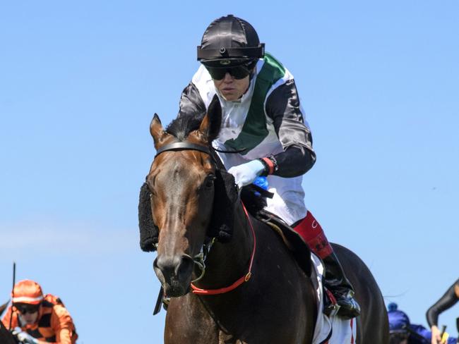 MELBOURNE, AUSTRALIA - FEBRUARY 24: Craig Williams riding Mr Brightside winning Race 7, the Lamaro's Hotel Futurity Stakes, during Melbourne Racing at Caulfield Racecourse on February 24, 2024 in Melbourne, Australia. (Photo by Vince Caligiuri/Getty Images)