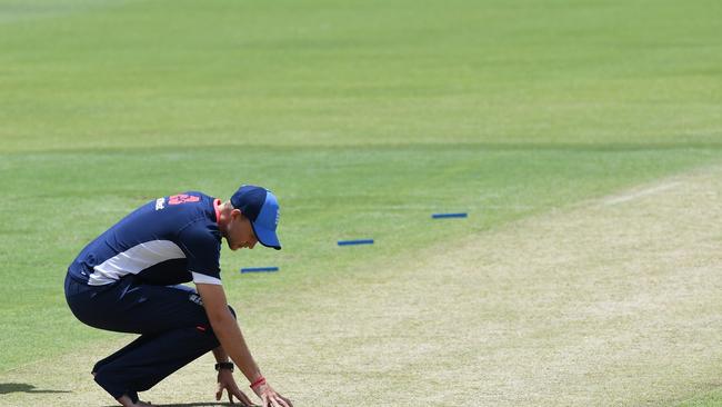 England's captain Joe Root inspects the WACA wicket.