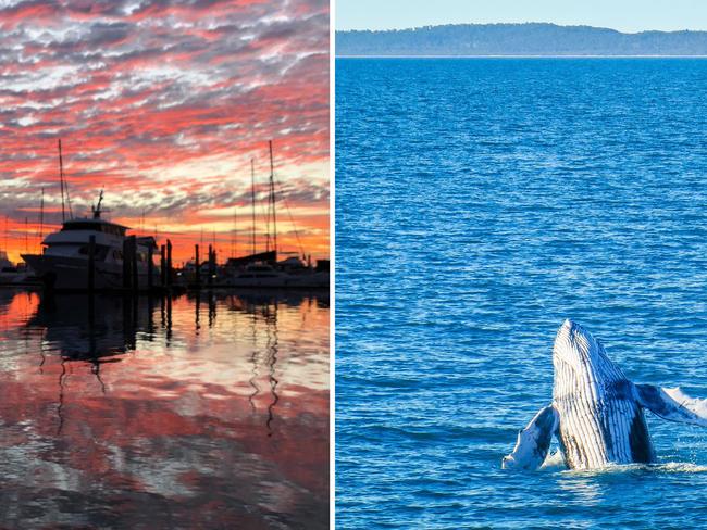 MPs’ whale of a time as work starts on harbour plan