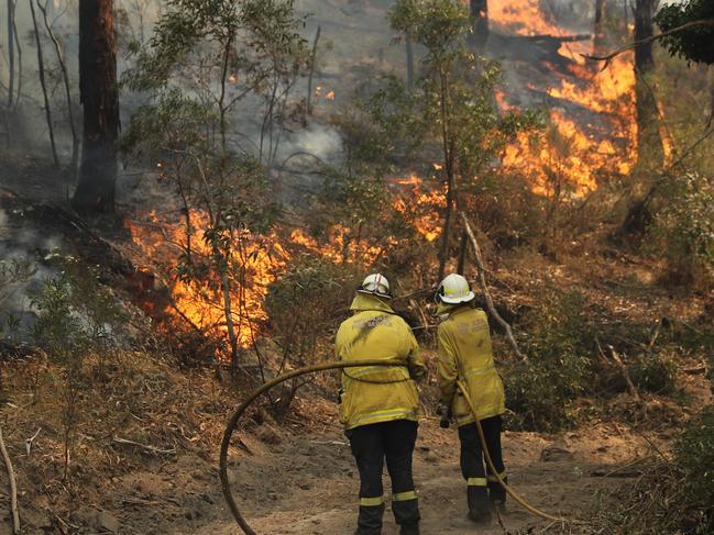 Bushfires across NSW are at catastrophic levels. Picture: Tim Hunter