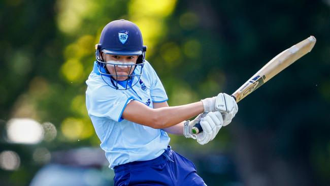 NSW Country rep star Hunter Hall almost dragged his side to victory with a wonderful innings. Photo: Dylan Burns