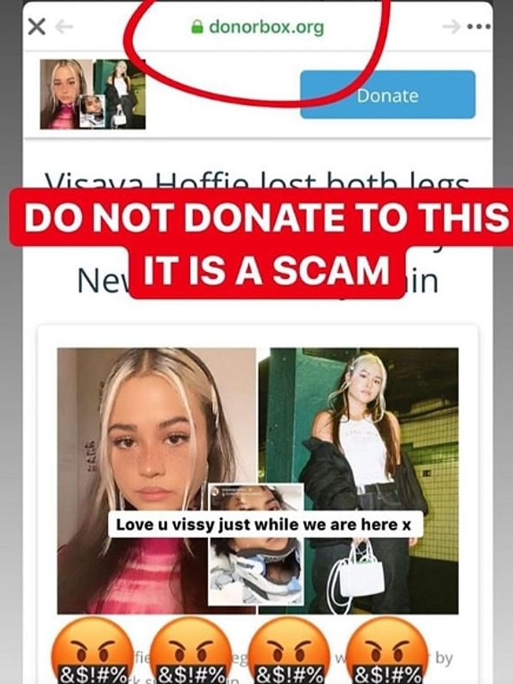 The fake fundraiser page on Donorbox for Visaya Hoffie. Picture: Instagram