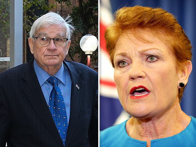 Blood and tears: Ex One Nation senator sues Pauline Hanson