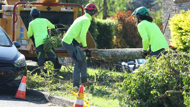 Clean-up operation under way on Birdwood Rd at Carina on Fiday morning. Picture: Annette Dew