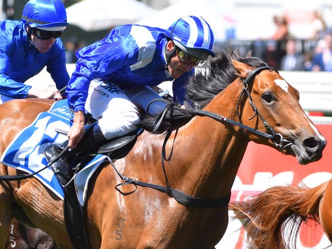 Damien Oliver rides Qafila to victory in the Debutant Stakes on Caulfield Guineas Day in 2017 continues to firm for Group 1 S Derby. Picture: Vince Caligiuri/Getty Images