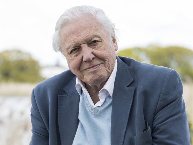 At 90, Sir David Attenborough has delivered his most gripping documentary yet. (Photo by John Phillips/Getty Images )