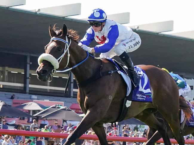 Pounding ridden by Jamie Kah wins the The Big Screen Company T.S. Carlyon Cup at Ladbrokes Park Hillside Racecourse on February 11, 2023 in Springvale, Australia. (Photo by Scott Barbour/Racing Photos via Getty Images)