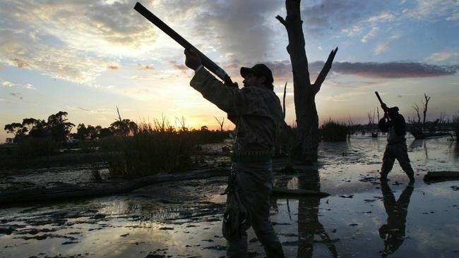 Victoria’s duck hunting season is in limbo. Picture: David Crosling