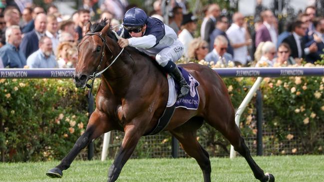 What You Need winning the Sunlight Classic on this day last year. Picture: George Sal/Racing Photos via Getty Images