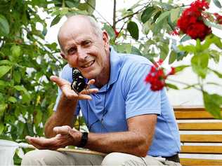 Ray Archer from Butterfly Plants for Poverty with a Cairns Birdwing in his butterfly enclosure at his property at Buaraba. . Picture: Claudia Baxter