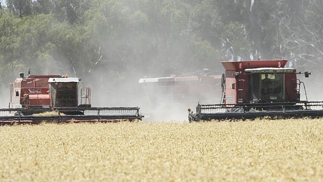 Crops Harvest. North Central Victoria.