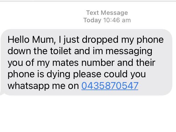 Scam messages being sent to parents. Picture: Reddit