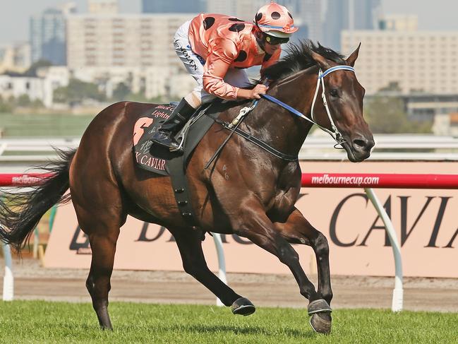 Black Caviar was a champion, a career moulded by star trainer; Peter Moody. Picture: Scott Barbour