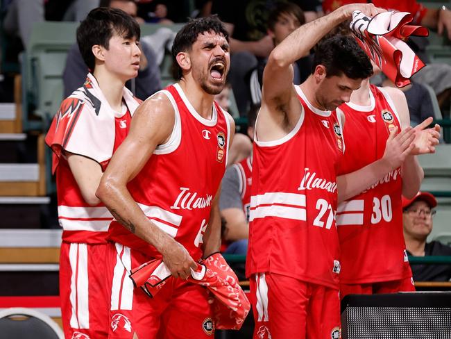 Illawarra is flying high on the court and has grand plans off it. Picture: Getty Images