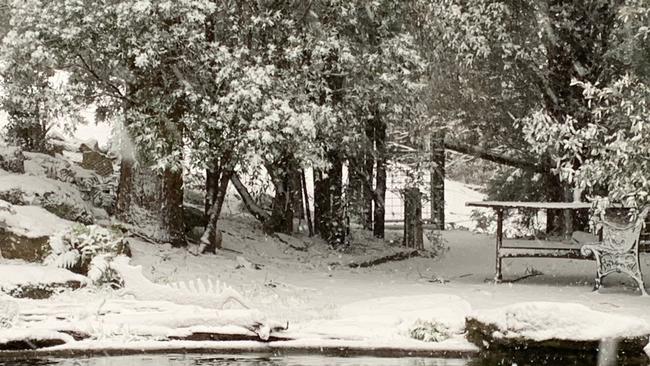 Snow falling thick and fast in Fern Tree, in Hobart, Tasmania on August 4, 2020. Picture: Iain Kelly