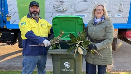 The green bin takes organic waste such as grass clippings and garden waste.