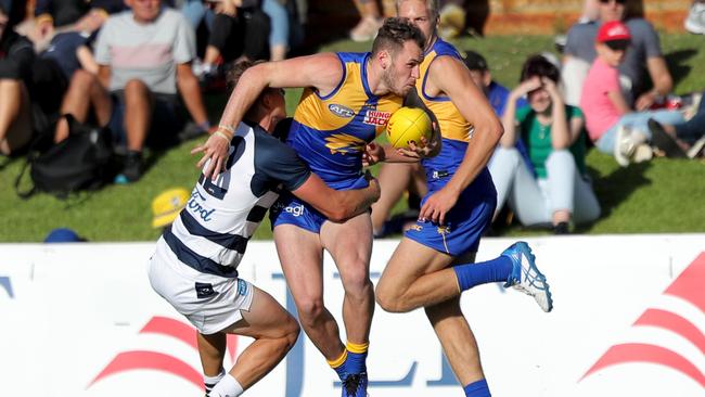 Daniel Venables playing for the West Coast Eagles in 2019