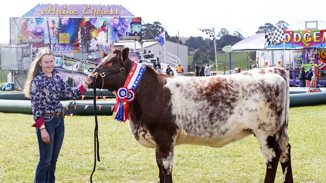 Junior Interbreed Champion and Supreme Exhibit, handler Emily Loane and Dunroan Murial the 49th of Latrobe at the Burnie Show. PICTURE CHRIS KIDD