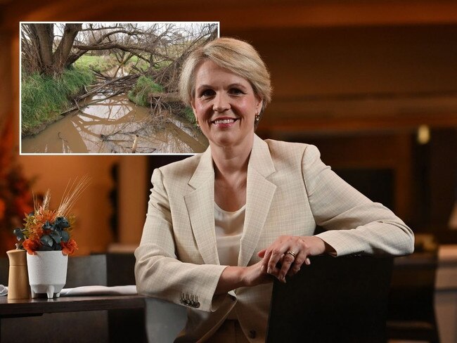 Environment Minister Tanya Plibersek. Picture: Keryn Stevens