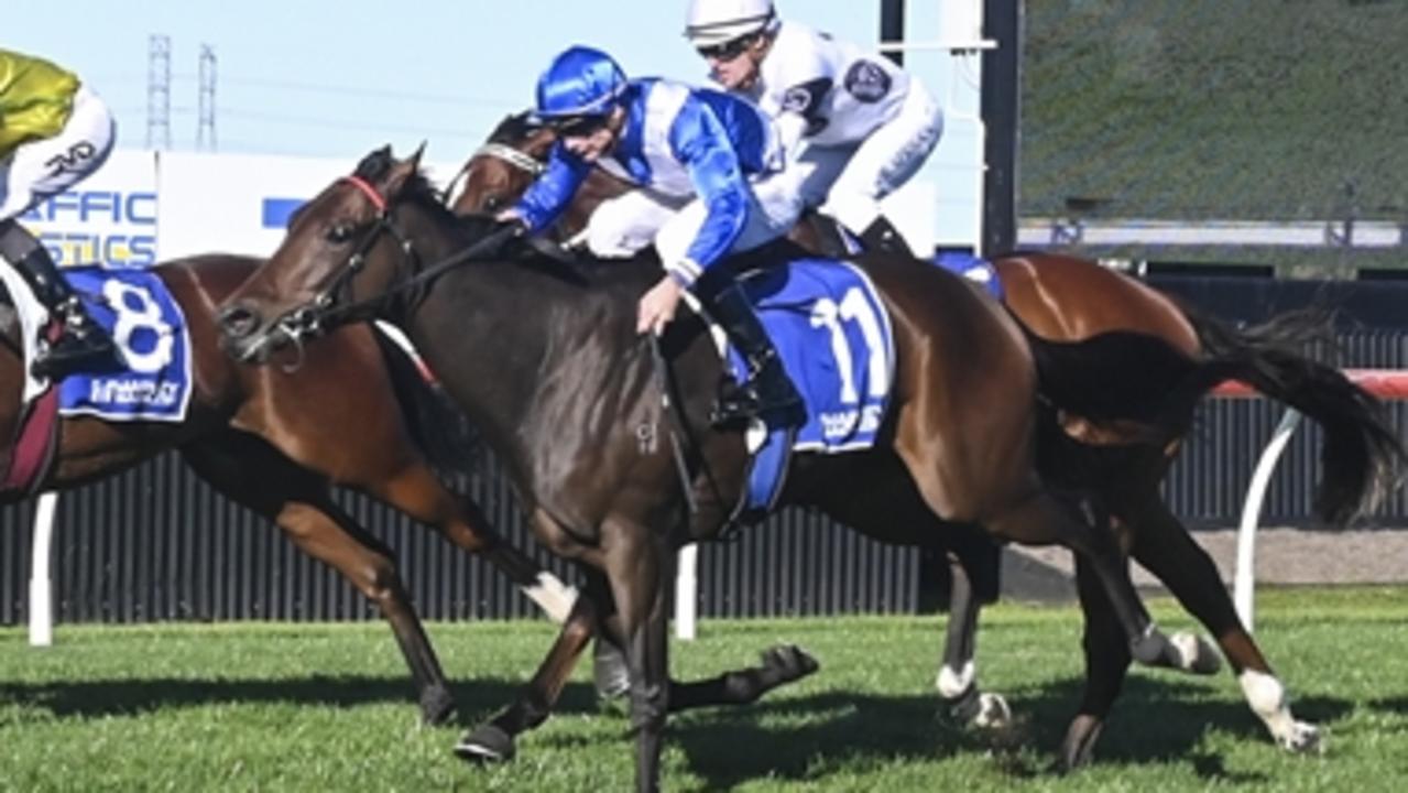 Thoughtful Woman can break through for her first win on Friday. Picture: Bradley Photos