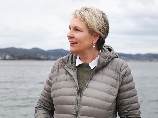 Federal Environment Minister Tanya Plibersek in Hobart in relation to the spotted handfish.  Picture: Nikki Davis-Jones