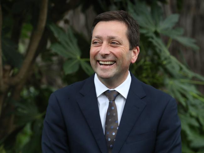 Opposition Leader Matthew Guy. Picture: David Crosling