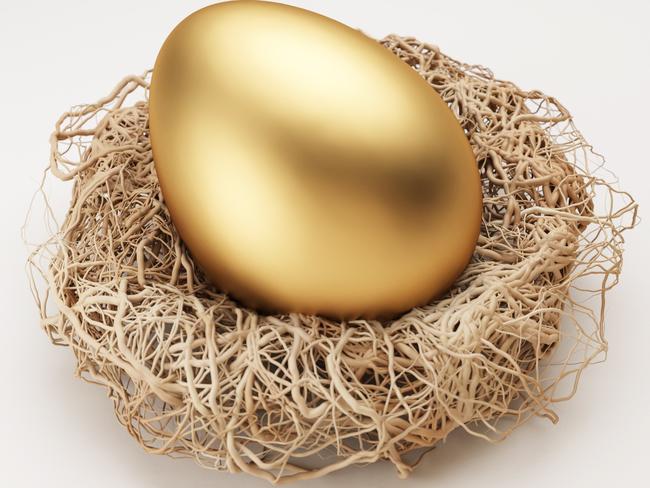 Golden Egg in Nest Isolated on White, retirement saving