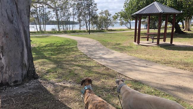 Nice place to take the pups. Picture: Amanda Robbemond