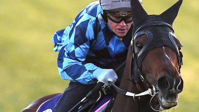 Youngstar is back for another crack at the Melbourne Cup after finishing sixth in last year’s race. Picture: AAP