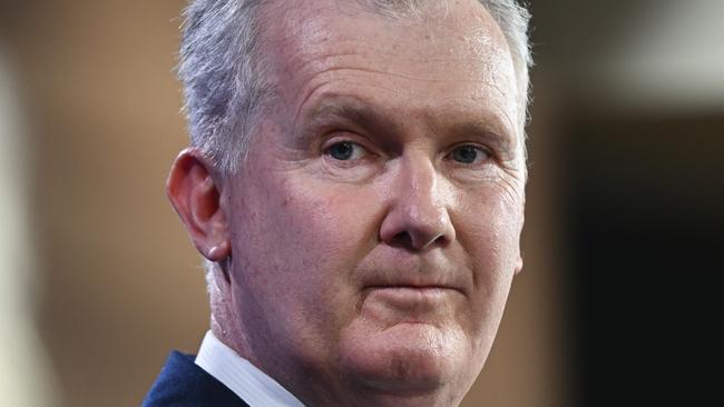 Workplace Relations Minister Tony Burke. Picture: NCA NewsWire / Martin Ollman