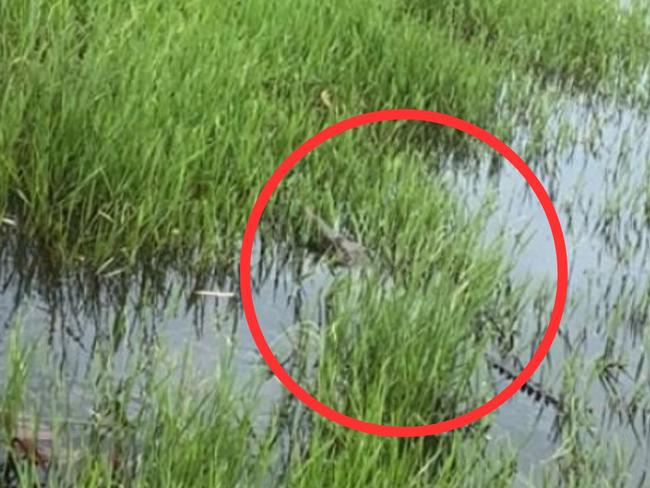 Madison Edward of Woodroffe spotted a freshwater crocodile while cutting the grass along McMillans Rd at Knuckey. Picture: Madison Edward