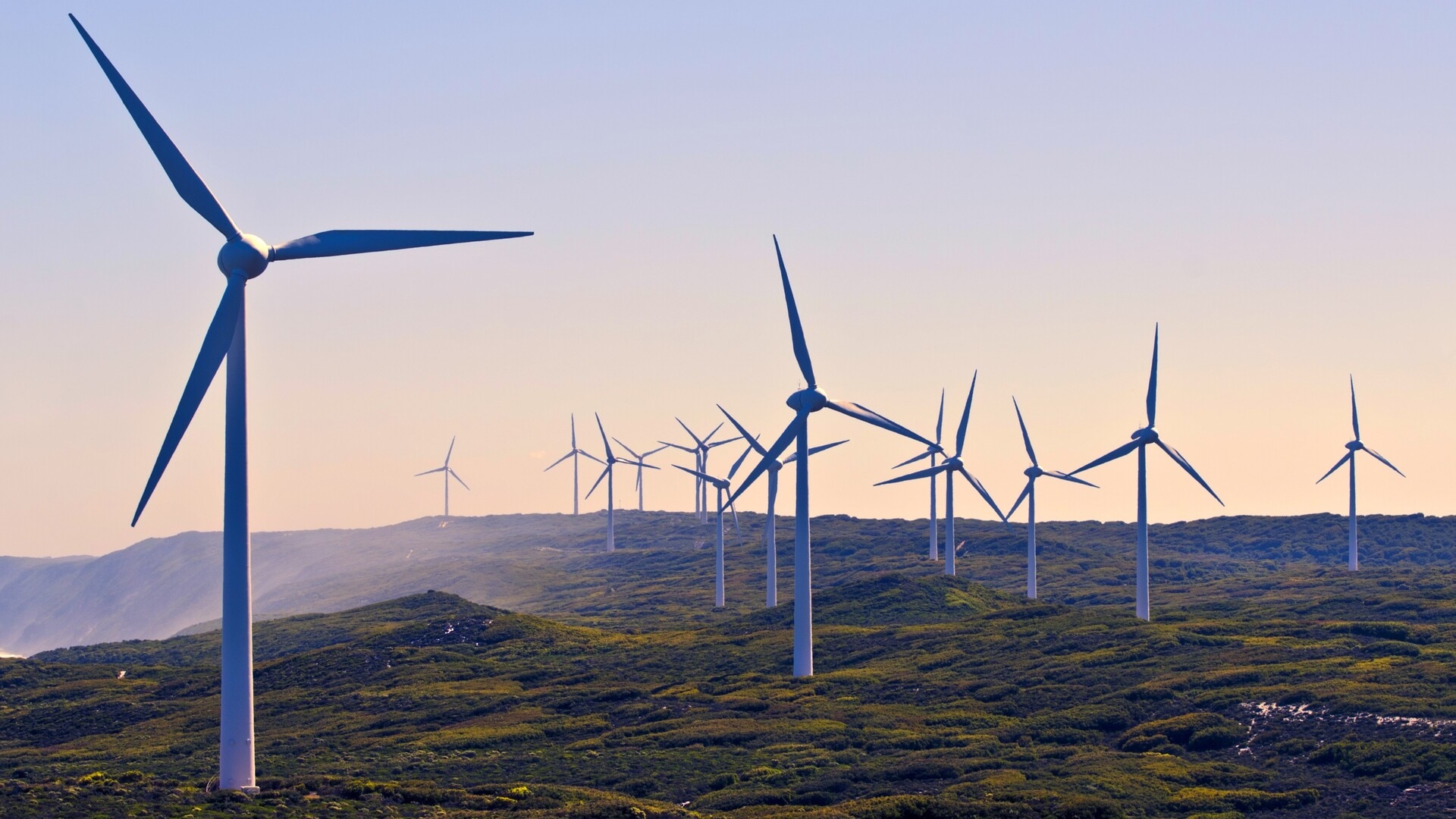 ‘A proper choice’: Australian people deserve a say in net zero debate
