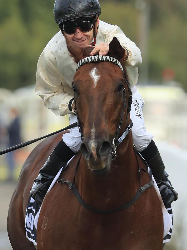 Collett gives Noble Boy a well deserved pat as he returns to scale.