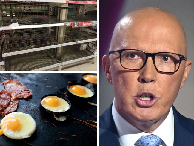 With just days to go before droves of still-undecided voters pick up the pencil, this one awkward guess from Peter Dutton has proved disastrous.