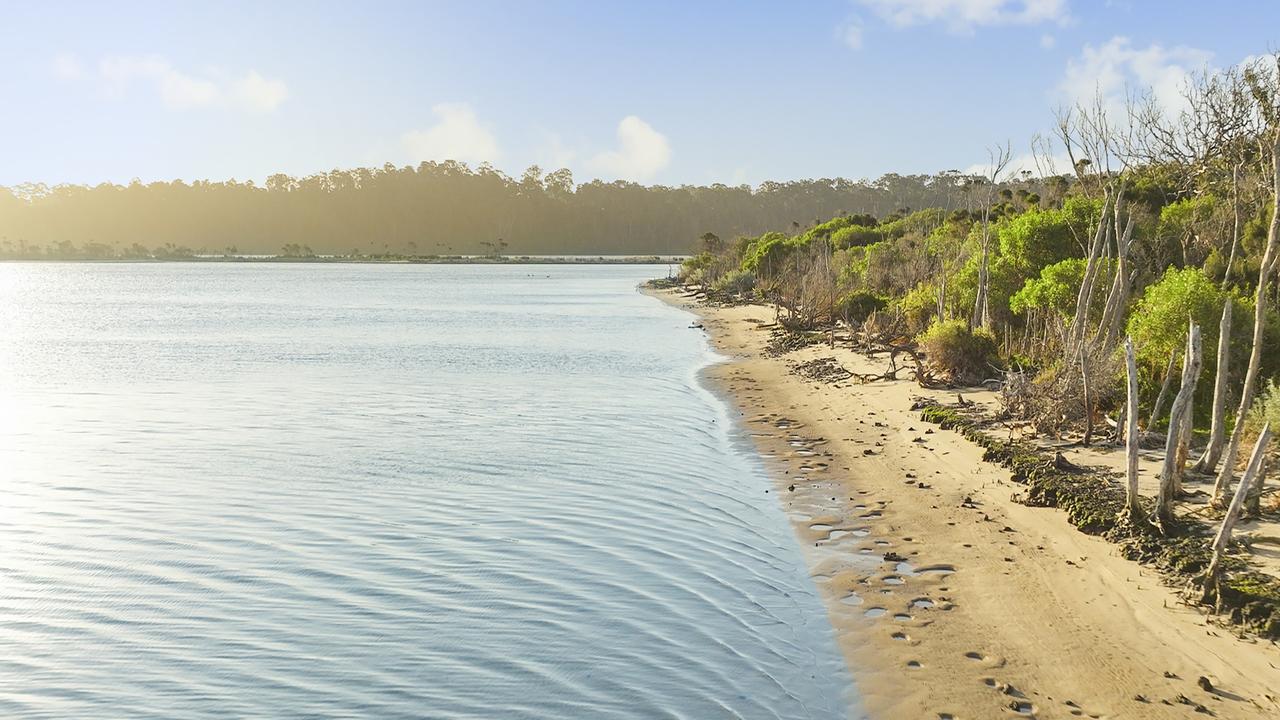 Domestic dogs are not allowed on the island due to the risks posed to wildlife.