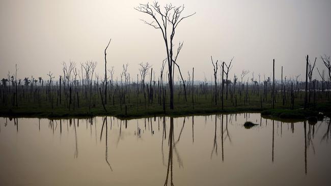 Photo: Carl De Souza/AFP