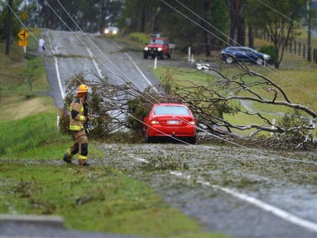 Downed trees and powerlines at Gympie.