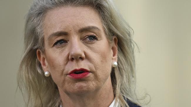 CANBERRA, AUSTRALIA, NewsWire Photos. SEPTEMBER 28, 2023: Senator Simon Birmingham and Senator Bridget McKenzie hold a press conference after an inquiry into Australia's bilateral airservices arrangements at Parliament House in Canberra. Picture: NCA NewsWire / Martin Ollman