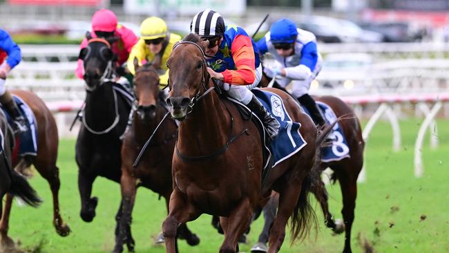 Bella Nipotina is one of the main challengers in the Concorde Stakes. Picture: Grant Peters/Trackside Photography