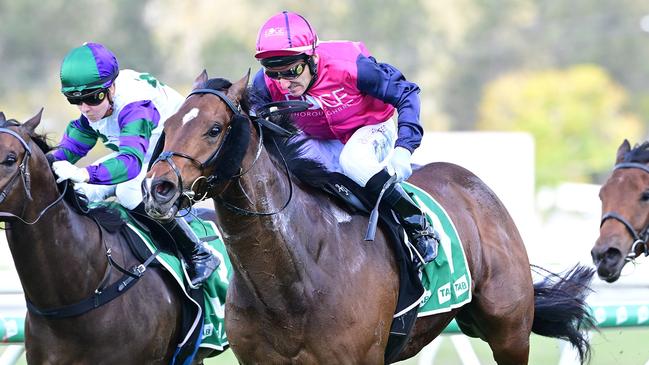 One-time $1.1m colt Godfather returns gelded and wins at Ipswich for a new trainer and ownership group. Picture: Grant Peters, Trackside Photography.