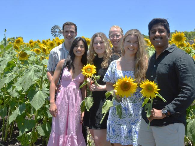 Lilyvale Flower Farm's impressive sunflower crop saw dozens flock to the sunny fields, including (from left) Jackson, Jess, Abby, Dion, Hannah and Jesse on Sunday, December 22, 2024. Photo: Jessica Klein