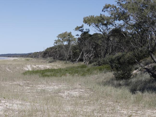 Police found Ms Liddle’s remains in bushland next to Tallow Beach on July 15, 2019. Picture: Liana Turner