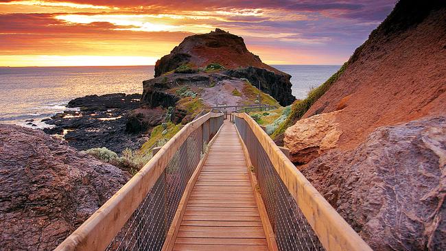 Cape Schank boardwalk.