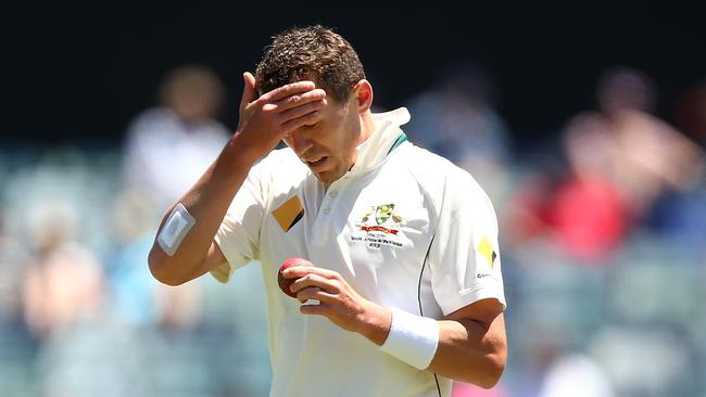 Peter Siddle during his most recent match, against South Africa in November.