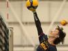 Players of the Tournament revealed at AVSC 2023