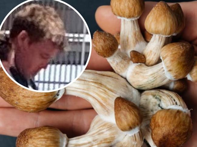 Alleged rapist Kristopher John Shaw, 33, from the Macedon Ranges in Victoria will remain on bail after a jury did not reach a verdict on November 14, 2024 to determine if he is guilty after he denied preying on a woman following a Byron Shire pub visit involving âmagic mushroomâ tea.