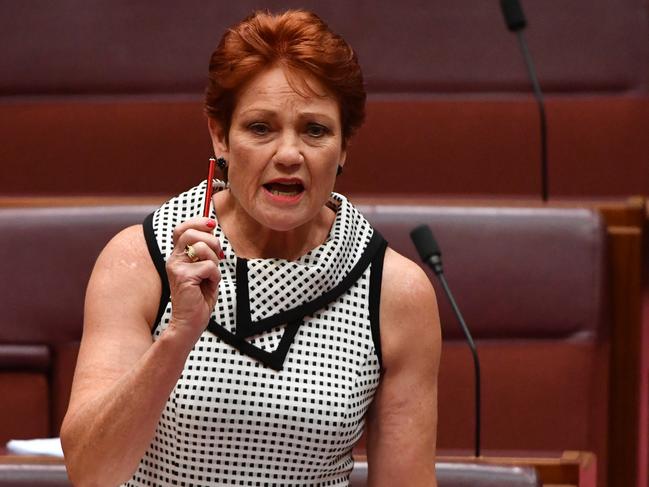 One Nation leader Senator Pauline Hanson. Picture: AAP