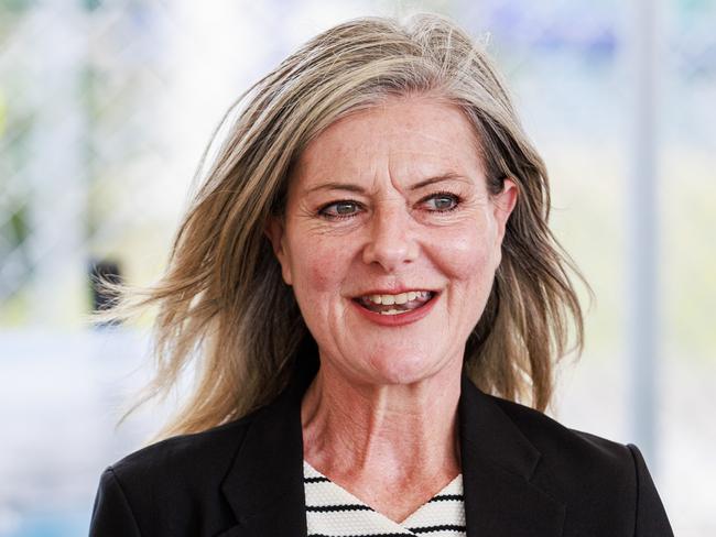 MELBOURNE, AUSTRALIA - Newswire Photos November 6, 2024: Minister for Planning Sonya Kilkenny during a press conference at the site of the Gurner Group new development in Docklands called Elysium Fields. Picture: NewsWire / Aaron Francis