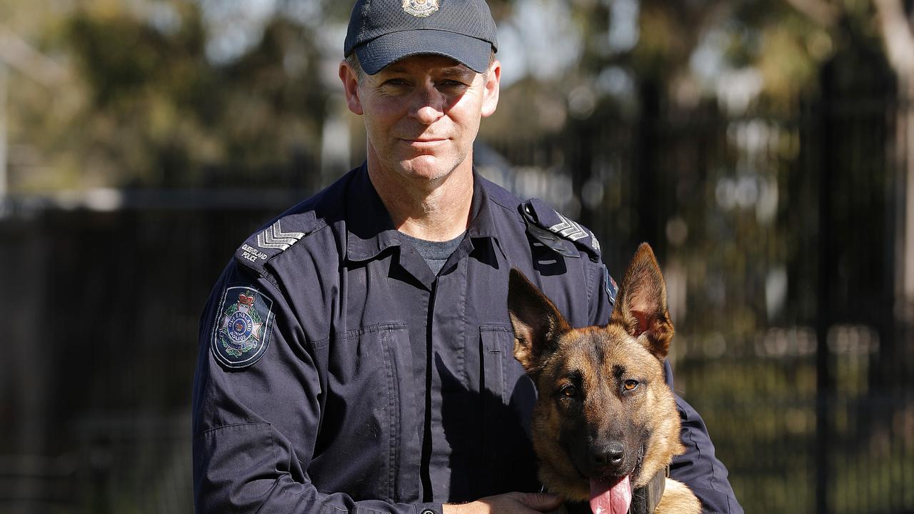 Brisbane Dog Squad unveils monument to honour Qld’s super snouts | The ...