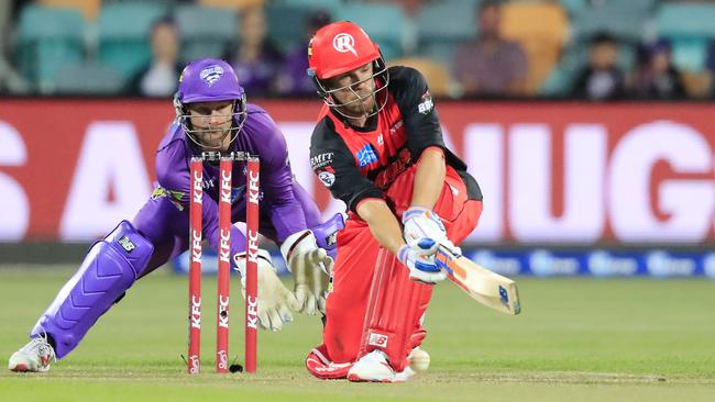 The Melbourne Renegades are looking to make their first Big Bash final. (AAP Image/Rob Blakers) 